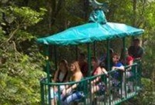 Rainforest Aerial Tram Pacific